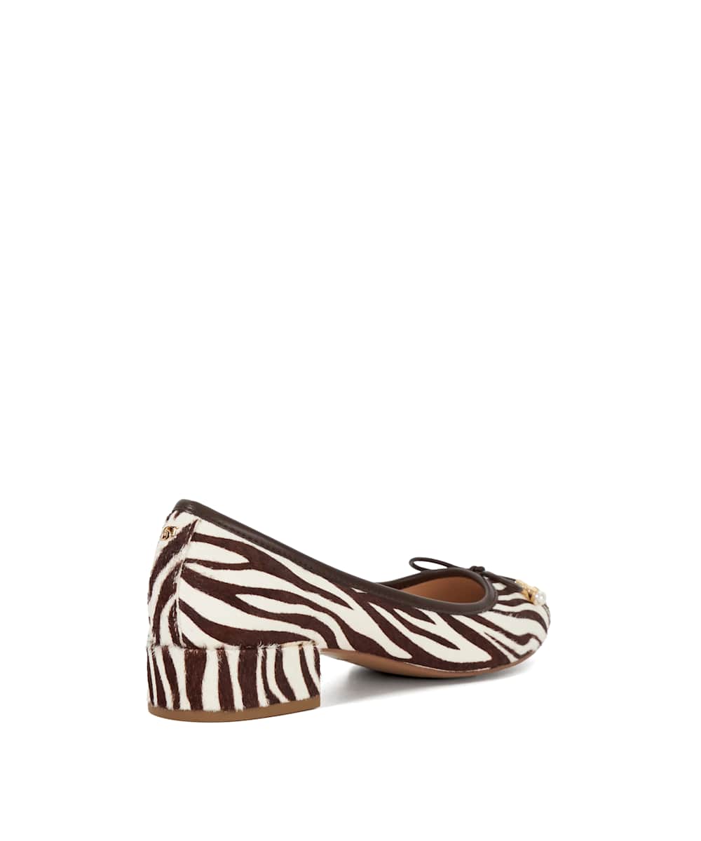 Amazing - Zebra - Image 5