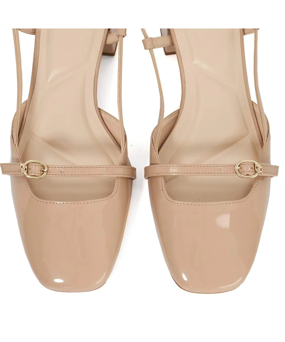 Definition - Camel - Image 6