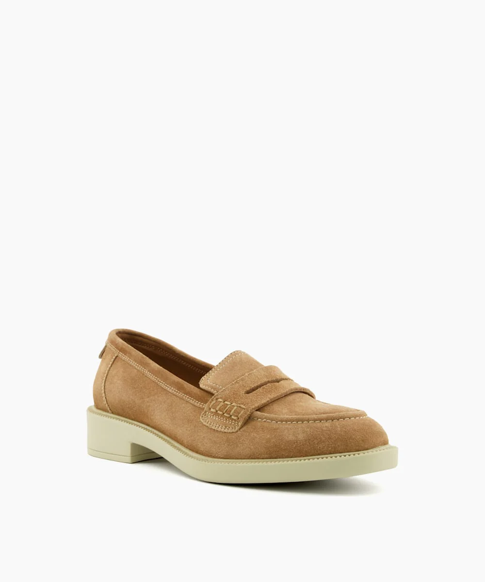Gazelles - Camel - Image 3