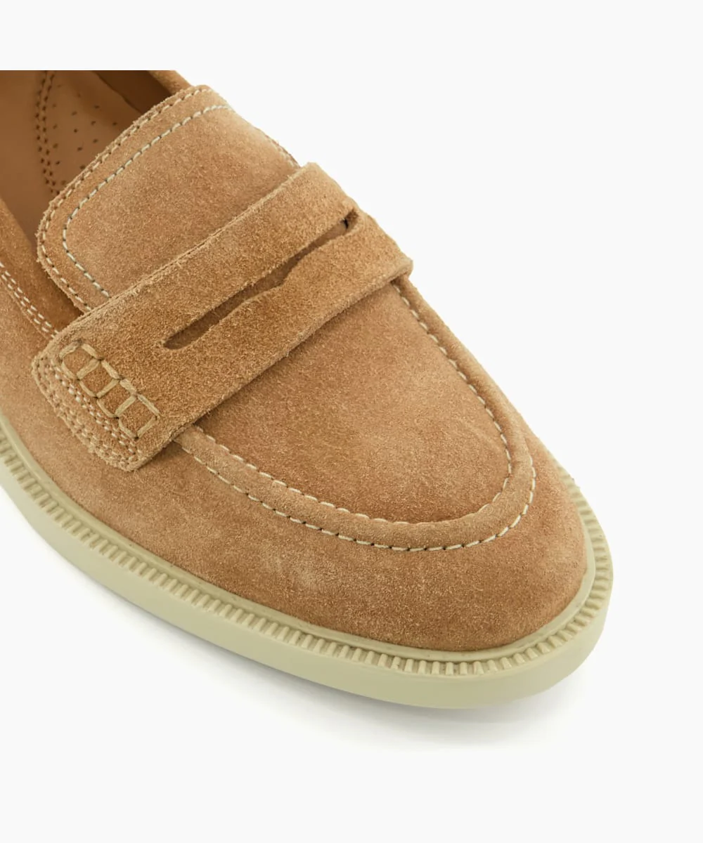Gazelles - Camel - Image 4