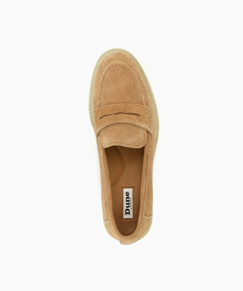 Gazelles - Camel - Image 5