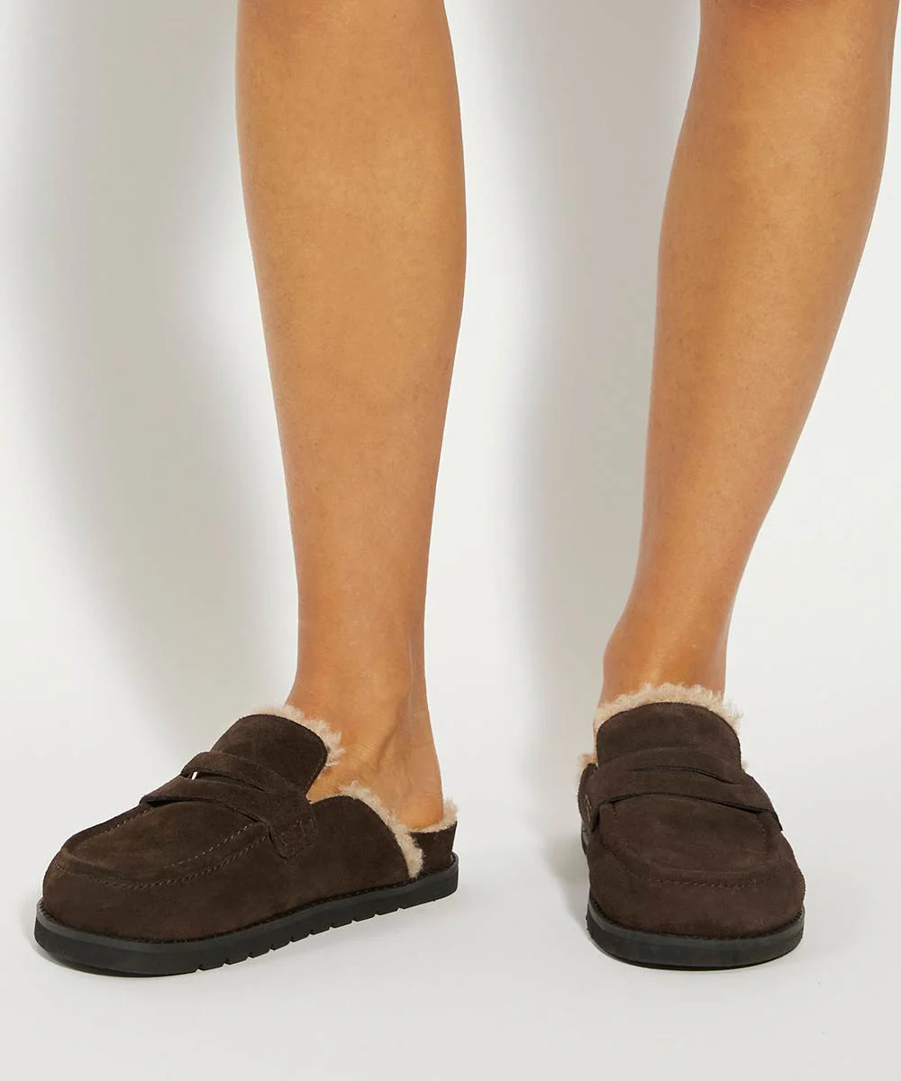 Goldy - Brown - Image 2