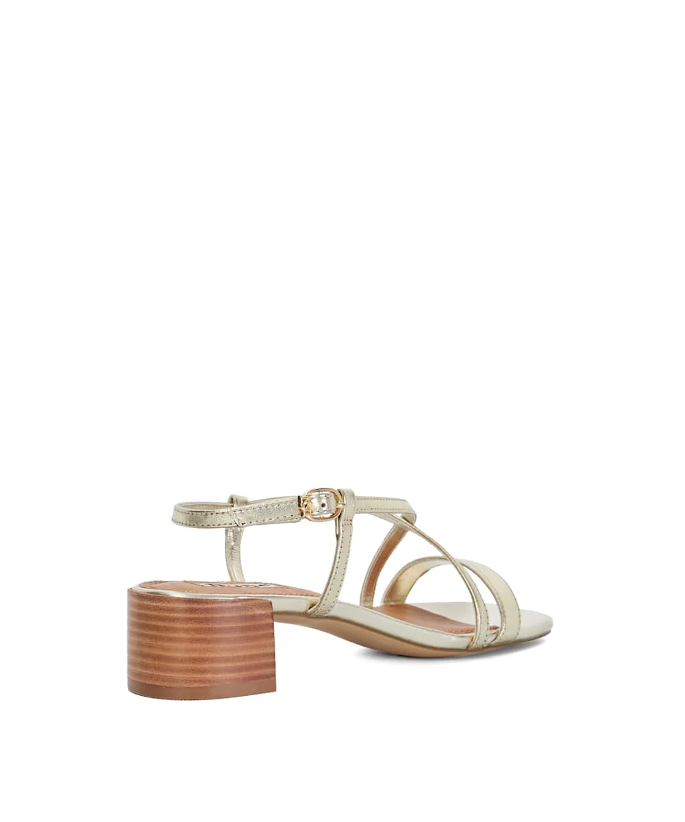 Jaskelle - Gold - Image 4