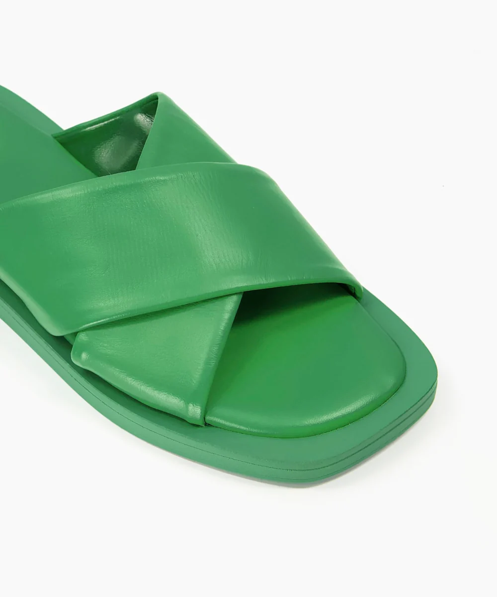 Licorice - Green - Image 3