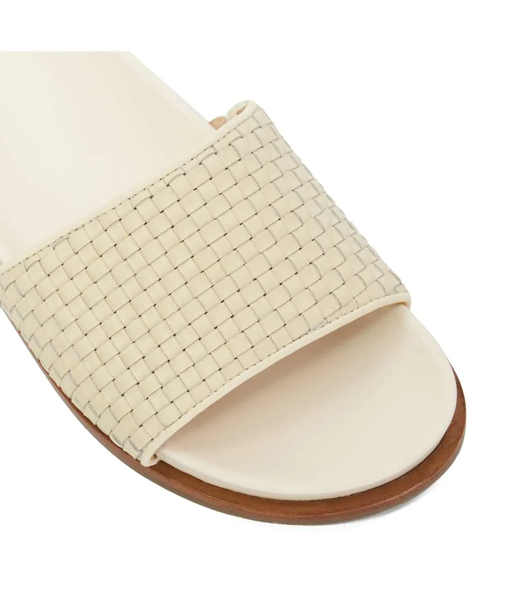 Lilas - Ivory - Image 5