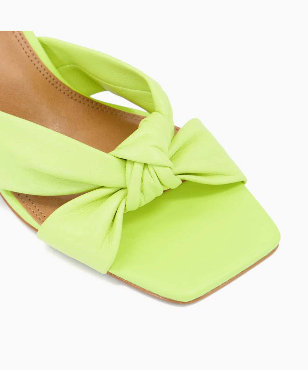 Maize - Lime - Image 3