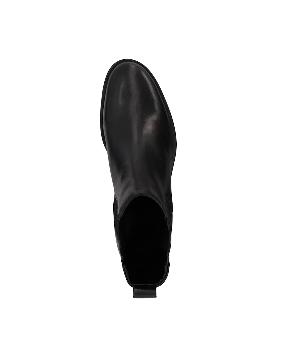 Panoramics - Black - Image 4