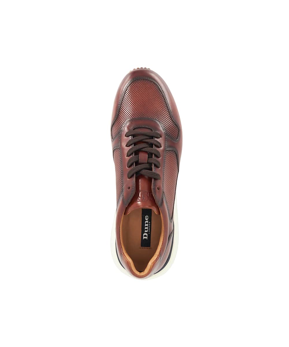 Taz - Brown - Image 3