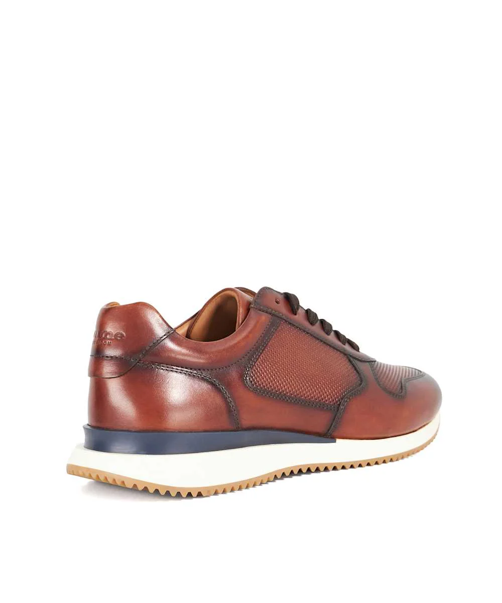 Taz - Brown - Image 4
