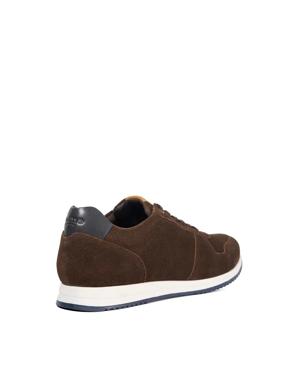 Toulous - Brown - Image 5