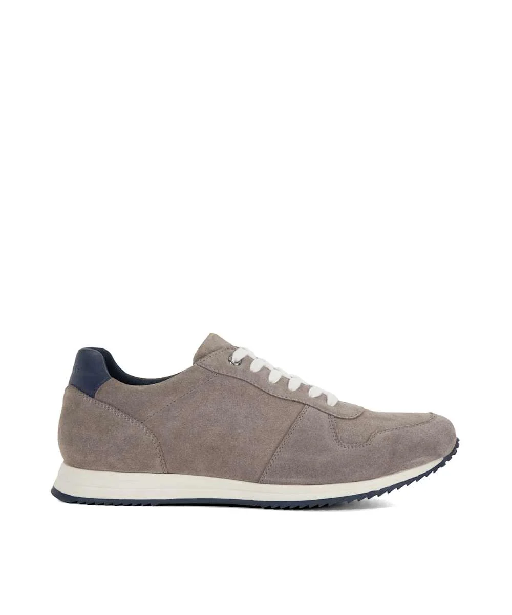 Toulous - Grey